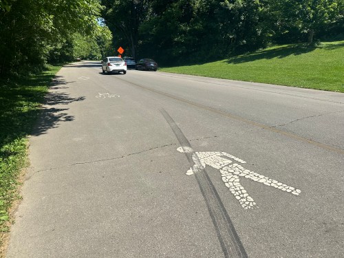 A road with a pedestrian crossing symbol and a car approaching, surrounded by greenery.