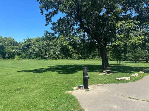 A sunny park scene featuring a grassy area, a large tree, a bench, and a water fountain along a pathway.