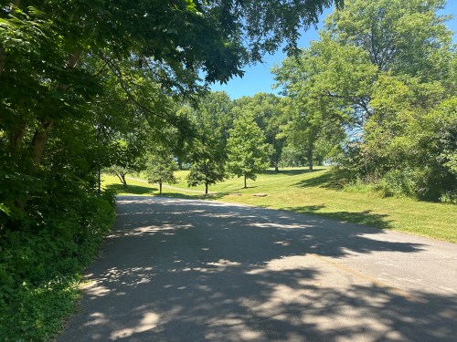 A sunny park scene with a winding path surrounded by lush green trees and grass.