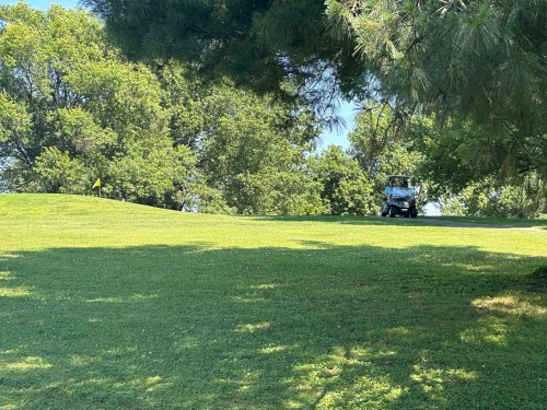 A golf cart on a green hill surrounded by trees, with a flag visible in the distance.