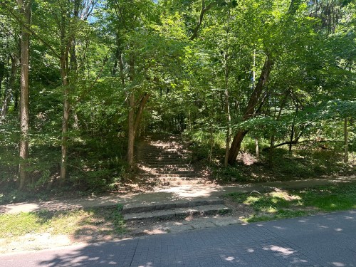 A forested area with stone steps leading up through lush greenery and trees.