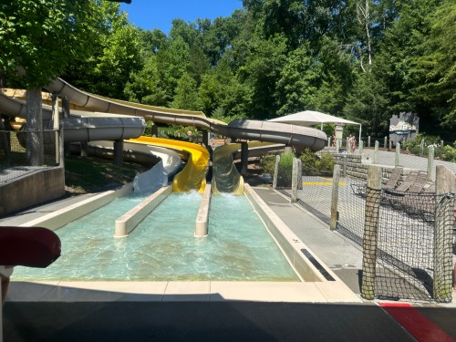 Two water slides in a park, surrounded by greenery, with a clear blue sky above and a pool at the bottom.