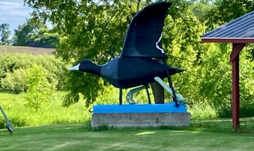 A large black bird statue with wings spread, perched on a concrete base in a grassy area surrounded by trees.