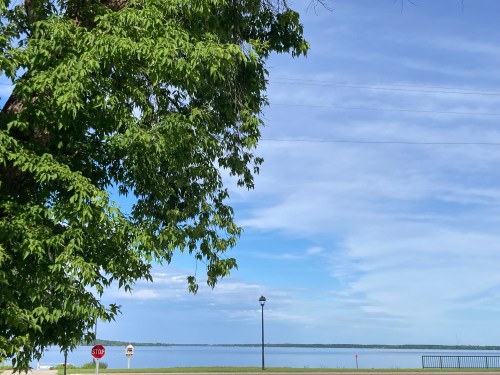A serene lakeside view with a tree, blue sky, and a stop sign in the foreground.