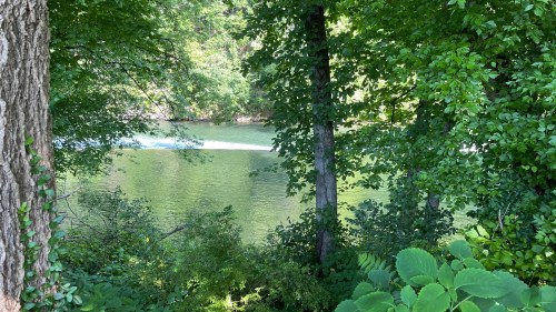 A serene view of a river surrounded by lush green trees and foliage, reflecting sunlight on the water's surface.