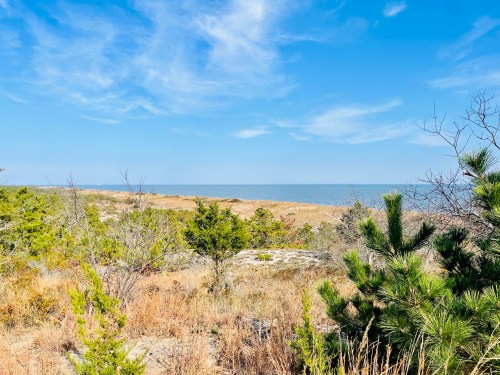 A coastal landscape featuring sandy dunes, sparse vegetation, and a clear blue sky over the ocean.