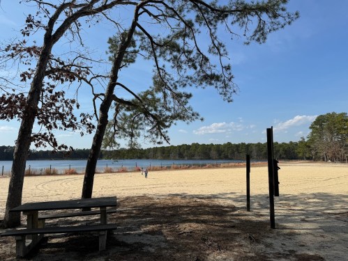 A sandy beach by a lake, framed by trees, with a clear blue sky and a few people in the distance.