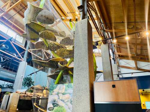 A colorful indoor play structure with netting, resembling a climbing feature, in a spacious, well-lit environment.