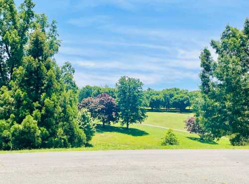 A scenic view of a green park with trees and a blue sky in the background.