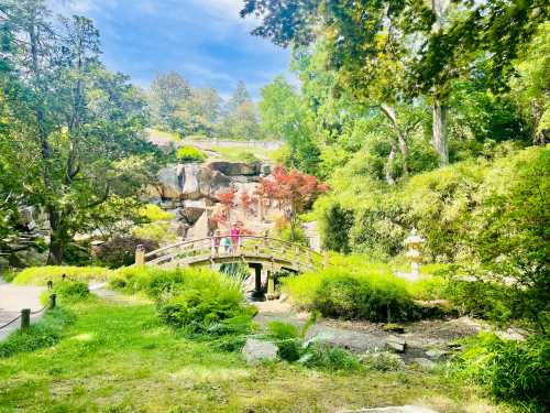 A serene garden scene featuring a wooden bridge, lush greenery, and colorful trees under a bright blue sky.