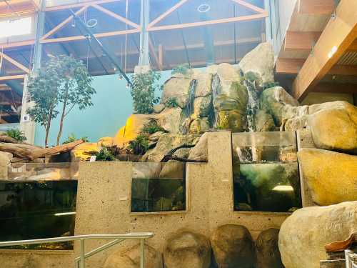 A rocky indoor habitat with a waterfall, plants, and aquariums, showcasing a naturalistic environment.