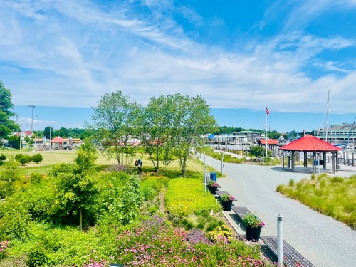 A sunny park scene with green trees, colorful flowers, and a pathway leading to a marina and blue sky.