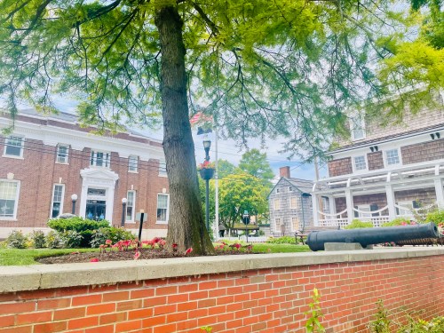 A tree in a park with a brick wall, flowers, and historic buildings in the background, under a blue sky.