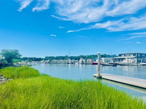 A serene marina scene with boats docked, surrounded by lush green grass and a clear blue sky.