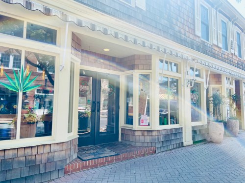 A charming storefront with wooden shingles, large windows, and plants, illuminated by sunlight on a sunny day.