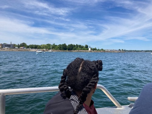 A person with braided hair gazes at a scenic waterfront with boats and greenery under a blue sky.
