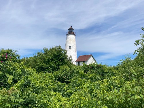 A white lighthouse stands tall amidst lush green foliage under a blue sky with scattered clouds.