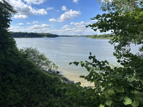 A serene river scene with lush greenery, blue skies, and fluffy clouds reflecting on the water's surface.
