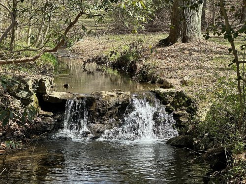 A serene stream flows over rocks, surrounded by trees and greenery in a peaceful natural setting.