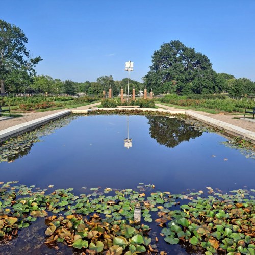 A serene garden with a reflective pond surrounded by greenery and blooming water lilies under a clear blue sky.