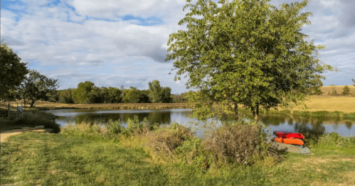 A serene landscape featuring a calm pond, lush greenery, and a tree beside a grassy area under a partly cloudy sky.