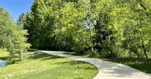 A winding path through lush green trees and grass on a sunny day.