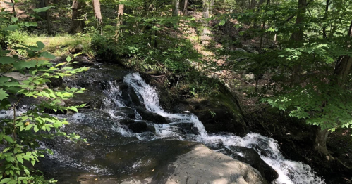 A serene stream flows over rocks, surrounded by lush green trees in a peaceful forest setting.