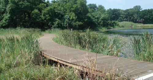 A wooden boardwalk winding through lush greenery beside a calm pond under a clear blue sky.