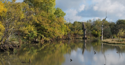 A serene wetland scene with colorful trees reflecting in calm water under a partly cloudy sky.