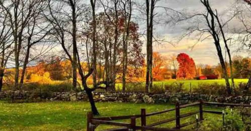 A serene landscape featuring trees with autumn foliage, a grassy field, and a stone wall under a cloudy sky.