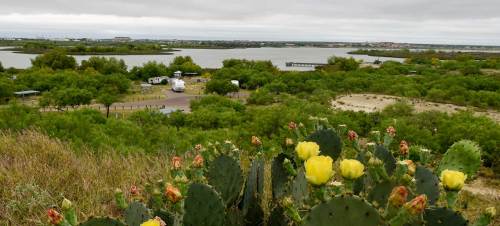A scenic view of a lake surrounded by greenery and cacti with yellow flowers, under a cloudy sky.