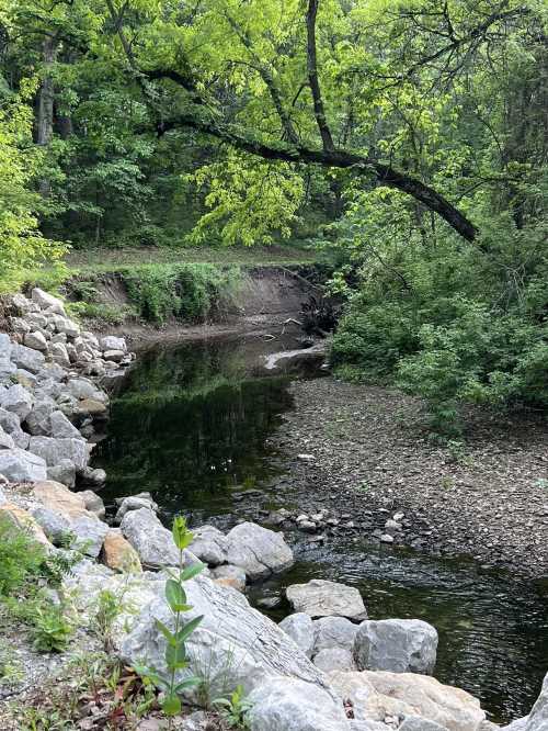 A serene creek surrounded by lush greenery and rocky banks, with a low water level and trees overhead.