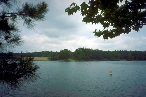 A serene lake surrounded by trees under a cloudy sky, with buoys marking the water's edge.