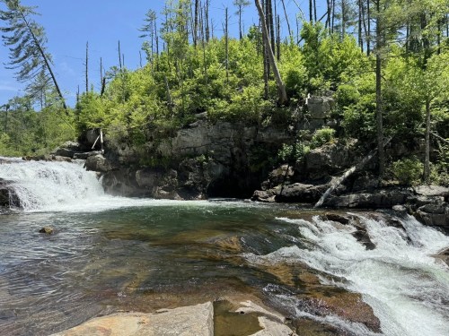 A serene river flows over rocks, surrounded by lush green trees and a clear blue sky.
