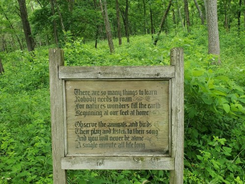 A wooden sign in a forest with text about learning from nature and observing animals and birds.