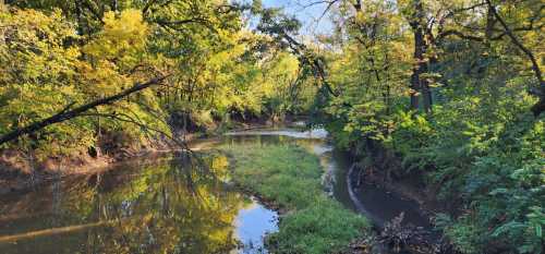 A serene river winding through lush greenery and vibrant autumn trees under a clear blue sky.