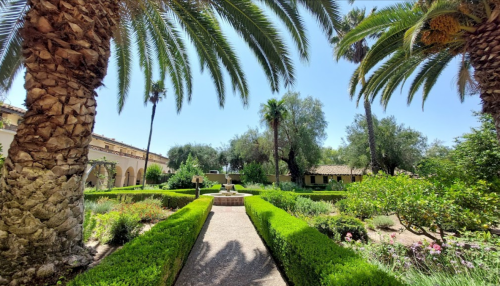 Lush garden with palm trees, manicured hedges, and a central fountain under a clear blue sky.
