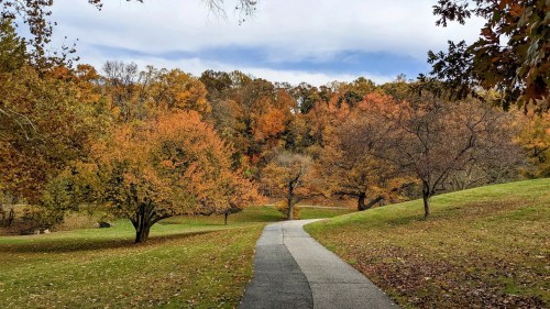 A winding path through a park surrounded by trees with vibrant autumn foliage.