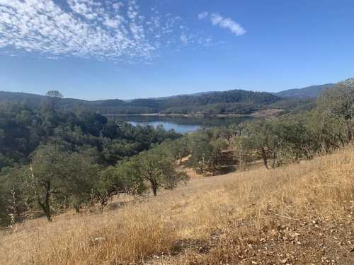 A scenic view of a lake surrounded by hills and trees under a blue sky with scattered clouds.