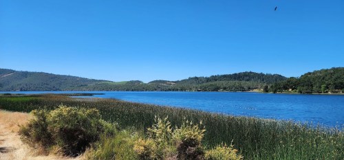A serene lake surrounded by green hills and tall grasses under a clear blue sky.