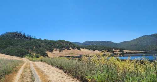 A dirt path leads through grassy fields and hills beside a calm lake under a clear blue sky.