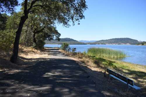 A serene lakeside path lined with trees, leading to calm waters and distant hills under a clear blue sky.