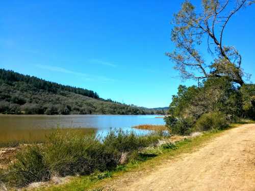 A serene landscape featuring a calm lake, green trees, and a clear blue sky along a dirt path.