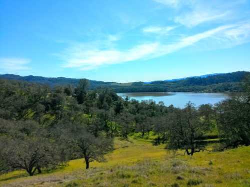 A serene landscape featuring a lake surrounded by green hills and trees under a clear blue sky.