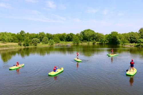 Five people paddle on green stand-up paddleboards in a calm lake surrounded by lush greenery under a clear blue sky.