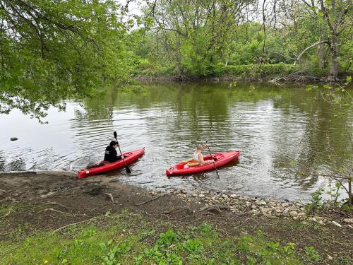 Two people in red kayaks paddle on a calm river surrounded by lush greenery.