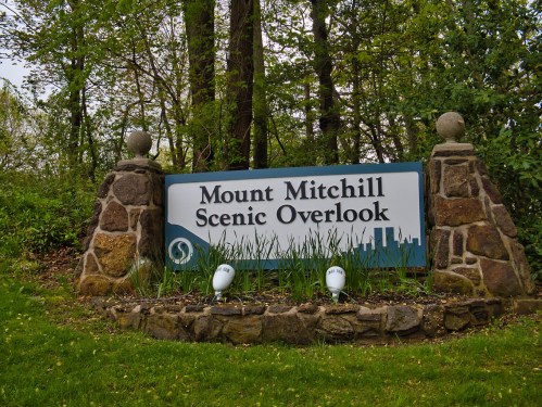 Sign for Mount Mitchell Scenic Overlook, surrounded by greenery and stone features.