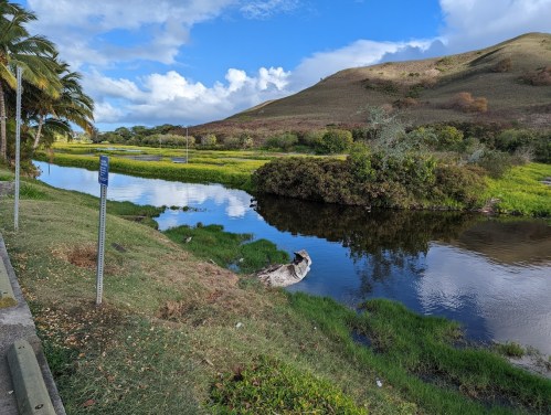 A serene landscape featuring a calm river, lush greenery, and a hill under a blue sky with scattered clouds.