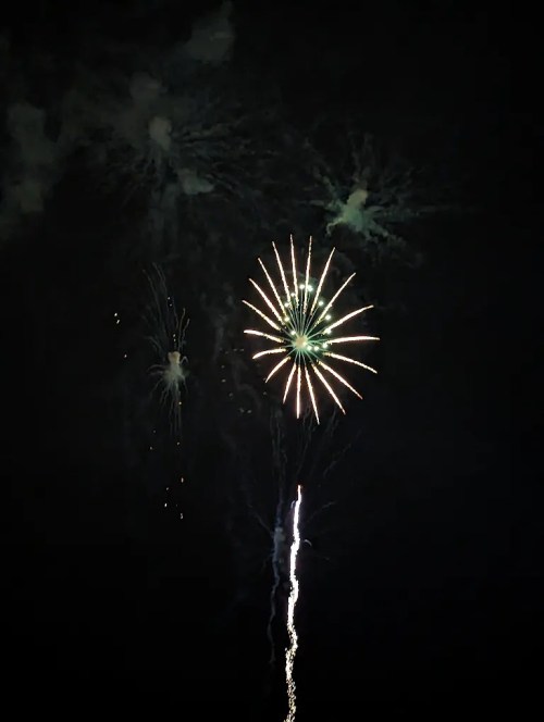 Colorful fireworks burst in the night sky, creating a vibrant display against a dark background.