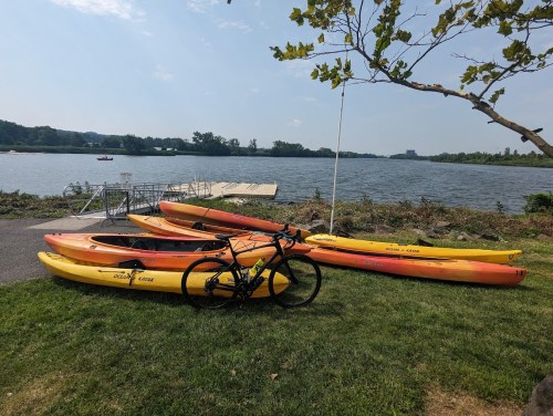 A row of orange and yellow kayaks on grass by a river, with a bicycle leaning against them.